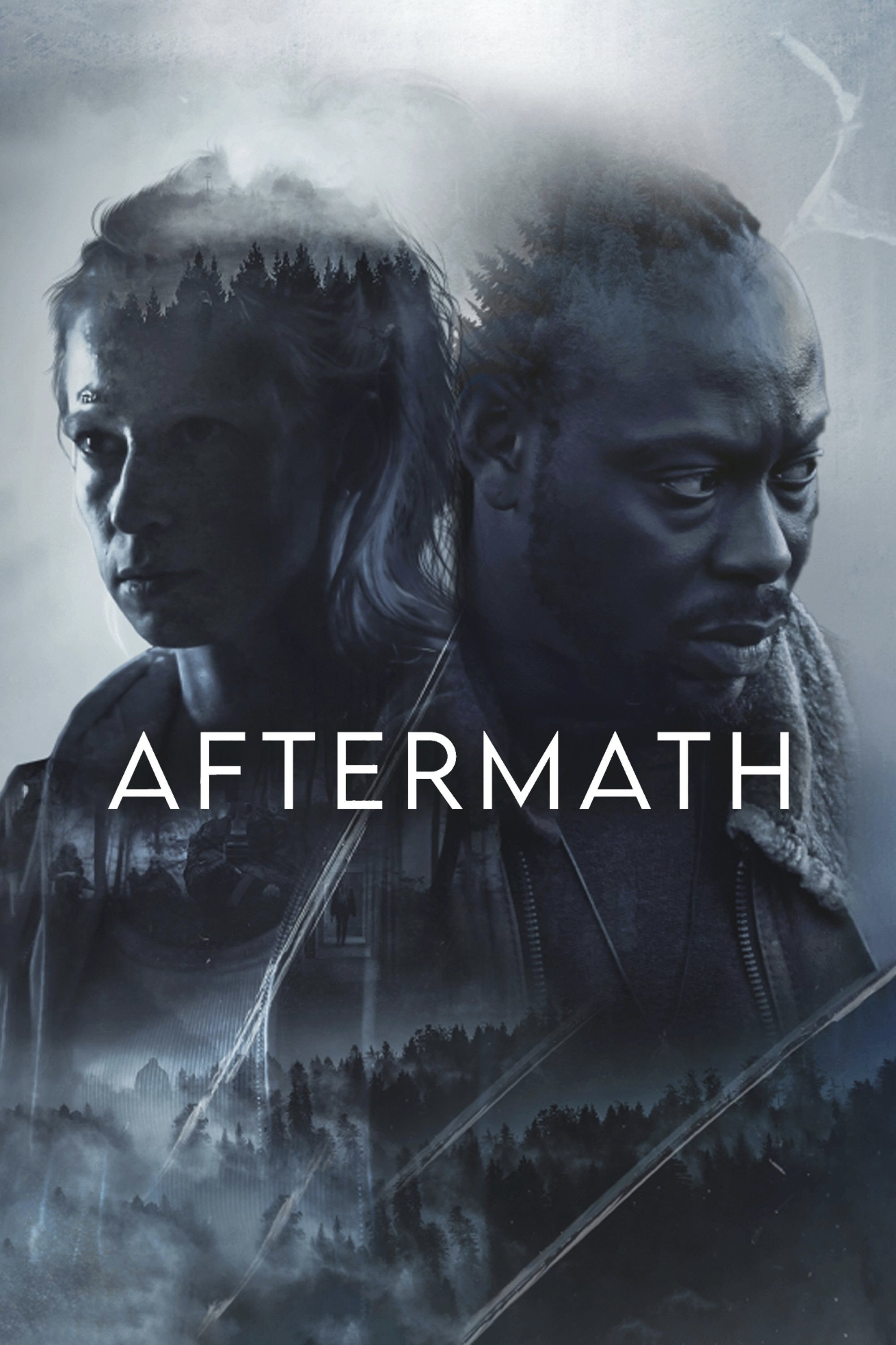 Постер Aftermath